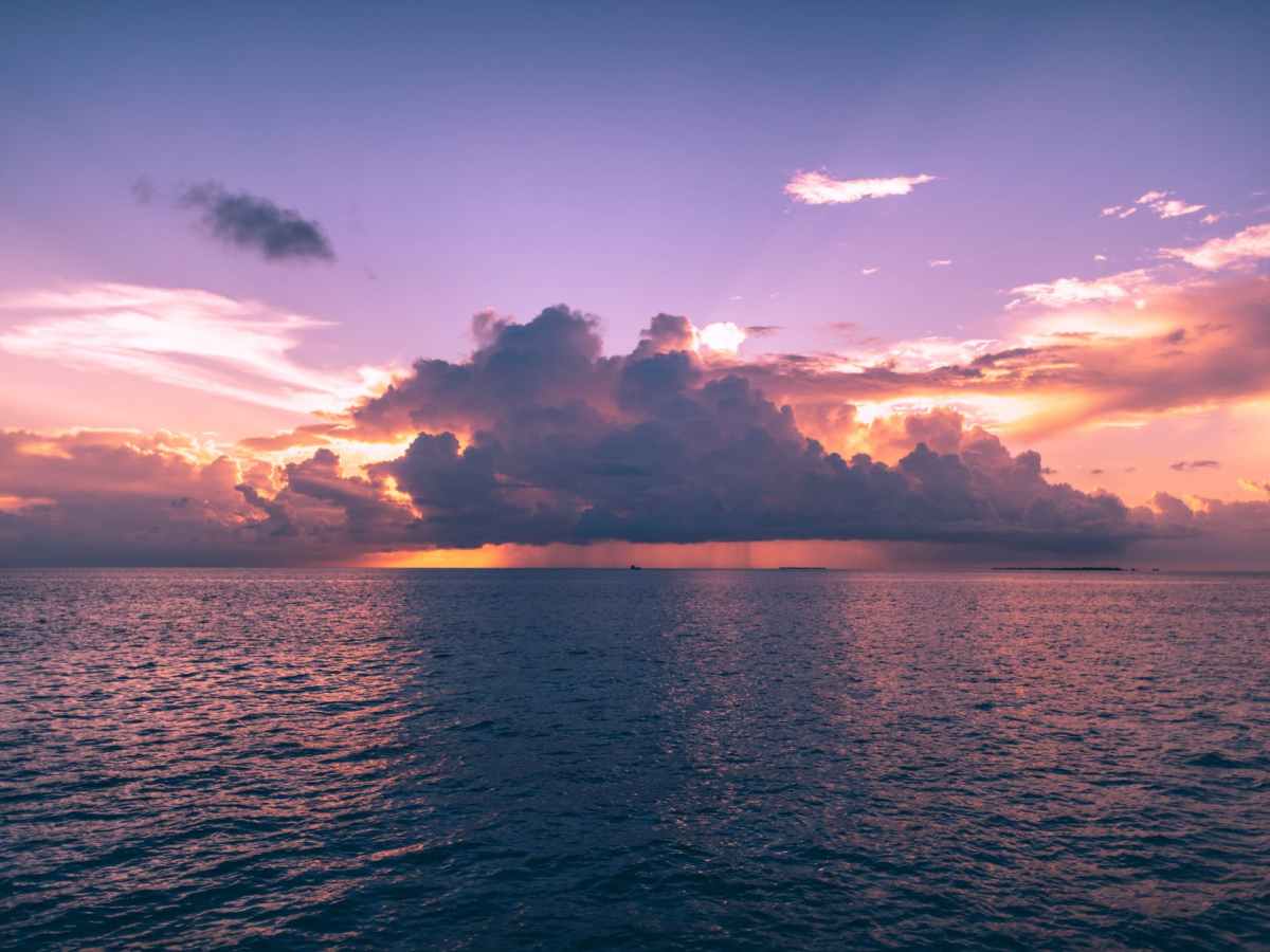 Ta chansen när den&nbsp;ges